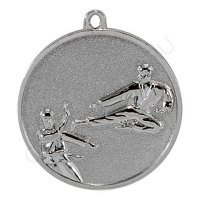 Медаль 046.02 серебро, 50 мм, каратэ