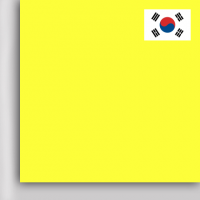 neon-yellow-korea-x-247